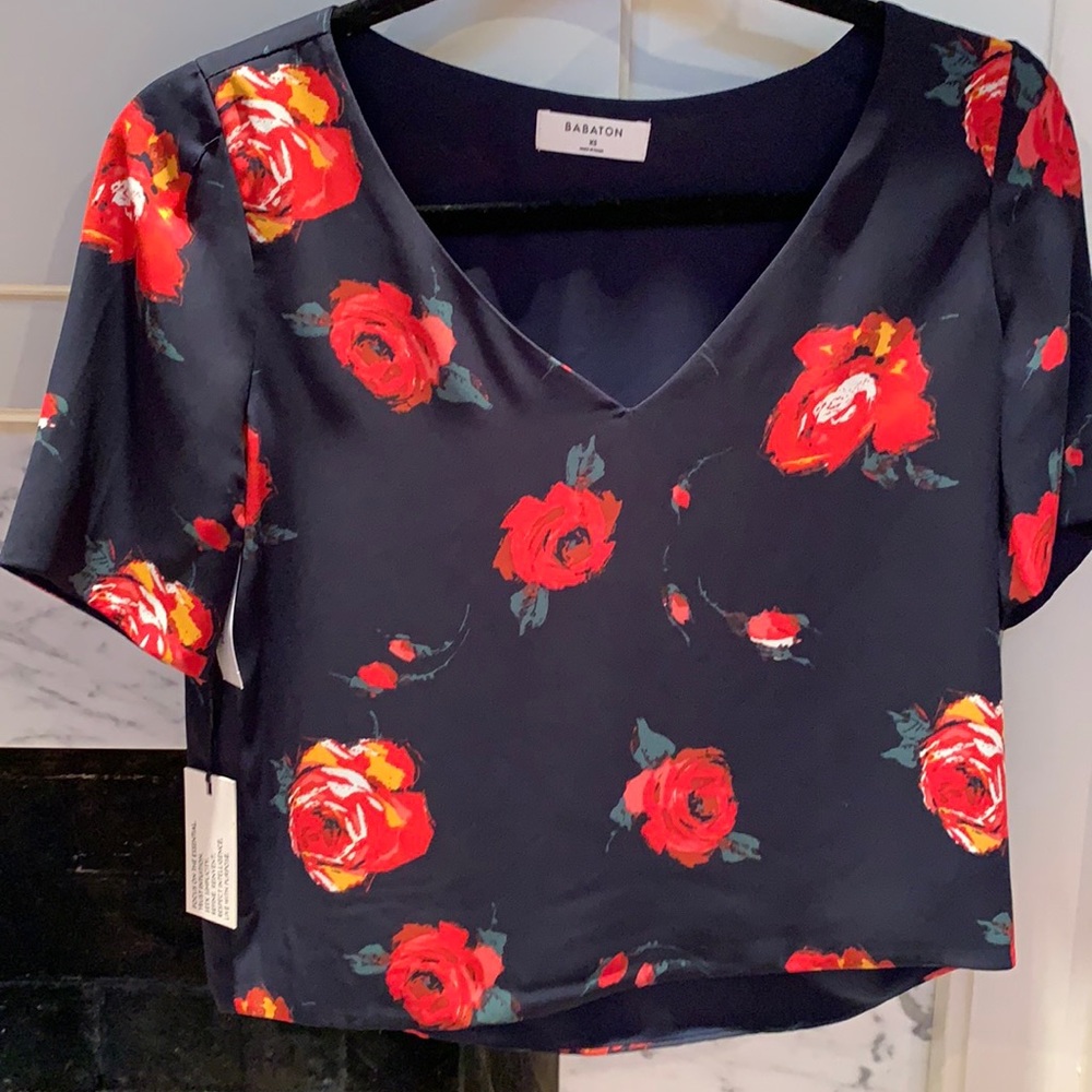 COPY - Babaton Aritzia Randy Blouse